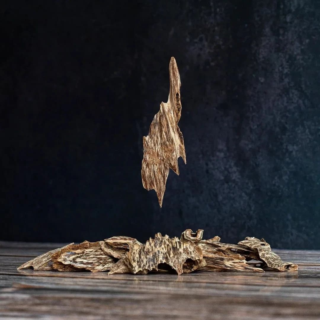 TRẦM HƯƠNG: TỪ LINH KHÍ ĐẤT TRỜI ĐẾN BÁU VẬT "TỶ ĐÔ" CỦA TƯƠNG LAI